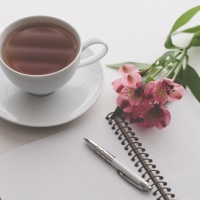 Write Where You Are, by Junie Swadron