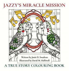 Jazzy's Miracle Mission book